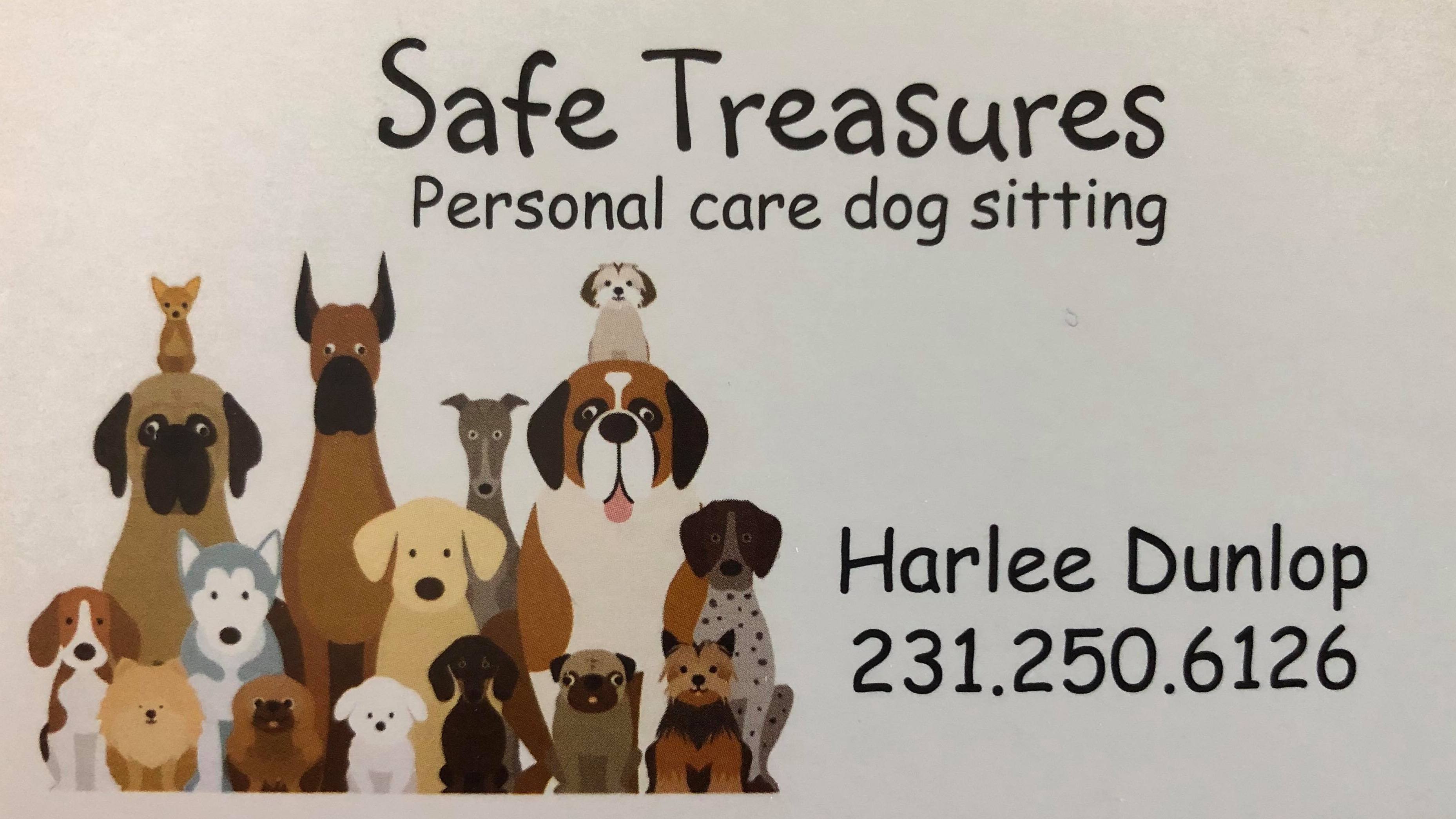 Safe Treasures personal care dog sitting, Harlee Dunlop (231) 250-6126